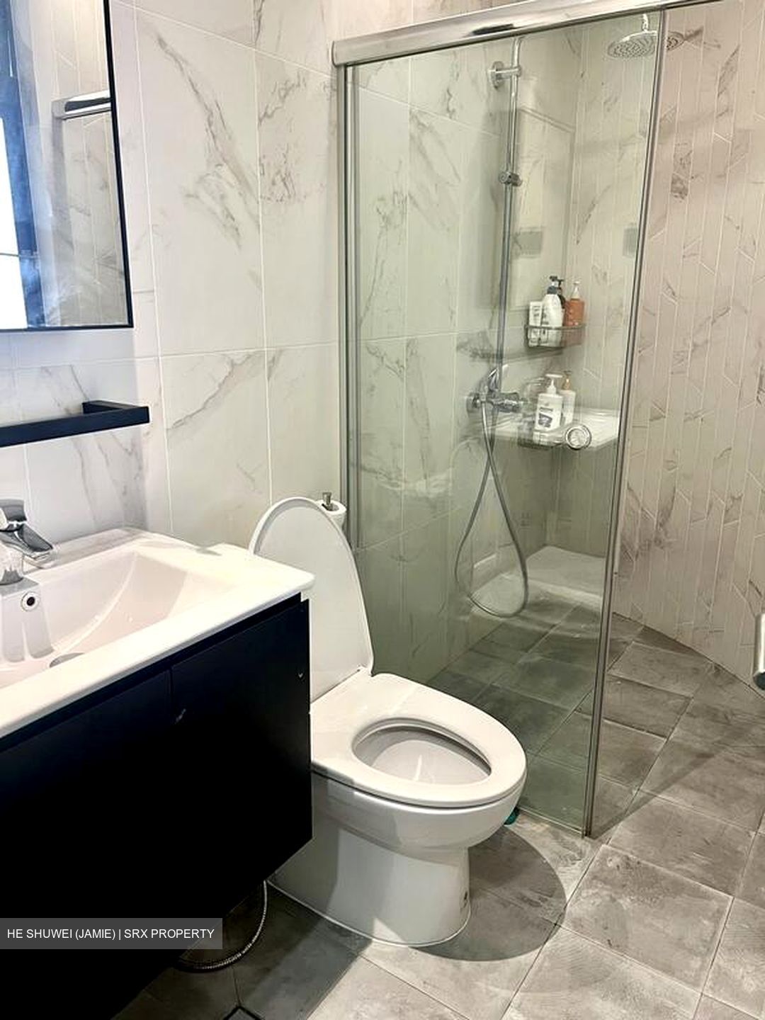 The Balmoral (D10), Condominium #496613891